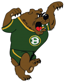 Bruin